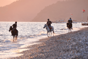 At Safari - Ölüdeniz 