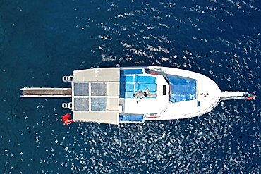 VİP Sürat Teknesi Ölüdeniz 