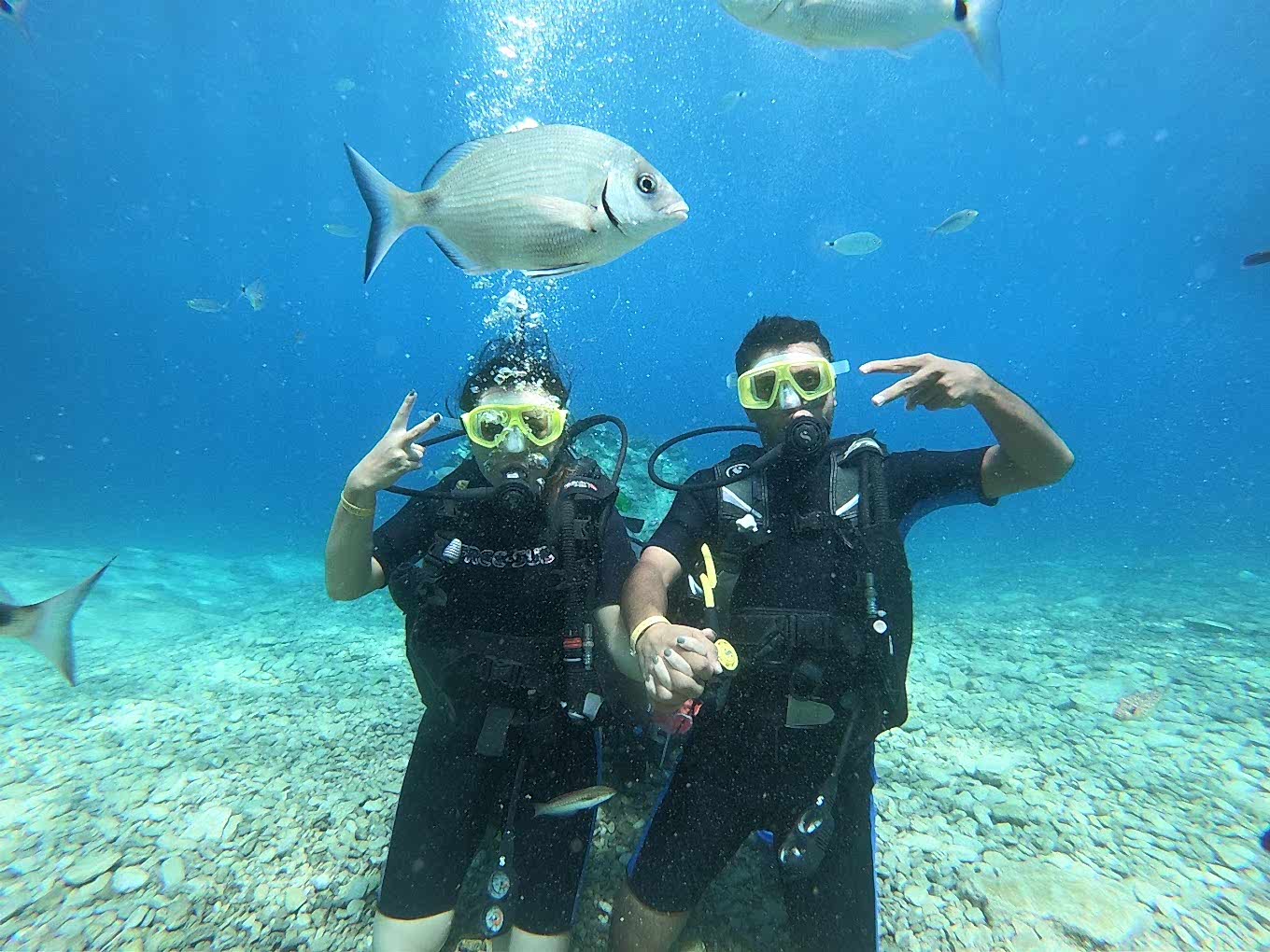 Ölüdeniz Tüplü Dalış Hakkında Merak Edilenler