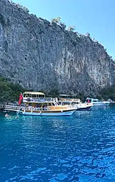 Fly Alfa Sizden Gelenler